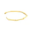 Bangle Designer Armband Man Vrouw Armbanden Kettingen Modemerk Armbanden Sieraden Rose goud Sliver Gold Color305Y