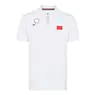 F1 Polo Mountain Mountain Self-езжающая одежда для одежды для летней одежды для мотоциклетов с длинными рукавами