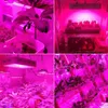 핫 sale2000W 듀얼 칩 380-730nm 전체 빛 스펙트럼 LED 식물 성장 램프 화이트