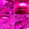 Hot sale2000W Dual Chips 380-730nm Full Light Spectrum LED Plant Growth Lamp White