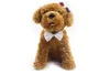 19 kolorów regulowane ubrania dla zwierząt domowych muszka krawat dla psa kołnierz akcesoria kwiatowe materiały dekoracyjne kolor Bowknot krawat artykuły pielęgnacyjne