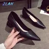 Dress Shoes Women's High Heels Zlah Pointed Toe Square Heel Office Light Work Women Pumps