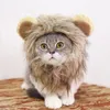 Lion Costume Hat for Care Care Cats Costume Lion Hair Halloween Christmas Easter Party Cosplay Party Akcesoria