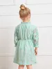 Toddler Girls Ruffle Neck Flounce Sleeve Lace Dress SHE