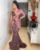 Robe Rose Pale Mermaid Evening Formal Dresses with One Shoulder Long Sleeve Lace Stain African Nigerian Aso Ebi Prom Engament Dress