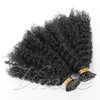 Peruansk mongulisk jag tips hårförlängningar Afro kinky Curly 100 Strands Pre Bonded Stick Jag Tips Keratin Fusion Remy Virgin Human Hair Extension