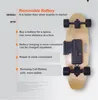 Daibot Portable Electric Scooter 4 Wheels Electric-Scooters Removable Battery Dual Hub Motor Wheel Longboard Electric Skateboard