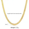 Chains Chic Flat Snake Link Choker Gold Color Collar Stainless Steel Necklace For Women Herringbone Chain High Quality Jewelry DN22669