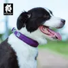 Truelove Pet Dog Collar Nylon Training Running Pet Designer Dog Collars Reflective Webbing Pitbulls Collerette Chien Confortable 201030