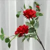 Falso Haste Longo Rose 31 "Comprimento Simulação Camélia Flor Folha Verde Para Casa Decorativa Flores Artificiais 6 Cores Disponíveis