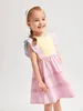 Toddler Girls Ruffle Armhole Guipure Lace Panel Colorblock Dress SHE