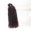 Rainha Nala Kinky Bundl Brazilian Curly Human Weave Extensões de cabelo para mulheres