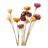 زهور الزهور أكاليل -20pcs مجفف زهرة ديزي الطبيعية الاصطناعية الملونة chrysanthemum زخرفة حديقة الحفلات ساق الحفل