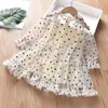 Thunderers Fashion Girl Party Dresses Mesh Dots Long Sleeve Children Princess Dress Casual Elegant Kids Dress Baby Clothes LJ200923