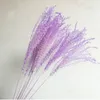 pink white color pampas grass decor dried natural flowers bouquets wedding flowers feather flowers tall 19-22 christmas decor 201201
