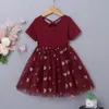 Kortärmad Baby Dress Girls Heart Mesh Girl Tutu Kjolar Barnparty Klänningar