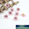 Dois centímetros 24Colors Cabeça de Flor de seda artificial Mini Daisy para DIY Scrapbooking Craft Crown casamento Garland Decoração Handmade
