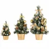 Mini Christmas Trees Xmas Decoraties Een kleine pijnboomboom geplaatst in het Deskop Christmas Festival Home Ornamenten 15 cm-40cm1