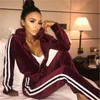 Kvinnor Striped Gold Velvet Sets Fashion Trend Cardigan Zipper Hooded Toppar Byxor Passar Designer Spring Kvinna Termiska Casual Lösa Tracksuits