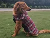 Winter Dog Fashion Jassen Huisdier Kleding voor Kleine Hond Outdoor Waterdicht Groot Hondenjasje