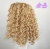 Ombre Synthetic Afro Short Kinky Curly Lace Front Wigs with baby hair Heat Resistant Top Fiber Wigs for Black Women n18