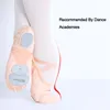 Danse trois chaussures de Ballet à semelle fendue souple adultes filles professionnelles femmes tissu extensible maille épissure pantoufles de danse