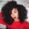 Nouveau court Afro Kinky Bouclés Perruque Pour Les Femmes Noires synthétique Résistant À La Chaleur Remy Lace Front Perruque Naturel Hairline