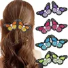 clipes de cabelo de borboleta de primavera