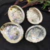 11 12cm Seashells Natural Abalone Shells Ocean Home Decor Diy Nautical Wedding Decoration Soap Holder Shell For Jewelry Making H jllAUL