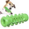 Köpek oyuncaklar diş fırçası ısırmaya dayanıklı temiz diş taşlama sopa pet kemik çiğneme oyuncak ısırma tutkal köpekler oyuncaklar lj201125