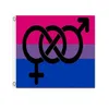 Bisexuelle Stolz LGBT Flagge 3x5 FT Banner 90x150cm Festival Party Geschenk 100D Polyester Gedruckt Heißer Verkauf!