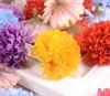 Simulation eines kleinen Hortensienkopf-Seidentuchs, Melaleuca-Blumen, Heimdekoration, Blumenarrangement GD1144