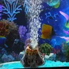 air bubble decoration fish tank