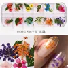 3D микс сушеные цветы украшения для ногтей натуральные цветочные наклейки сухие красивые наклейки для дизайна ногтей УФ-гель-лак маникюрные аксессуары5558383
