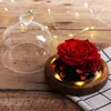 Heminredning Real Rose In Glass Dome LED Exclusive Dried Flower for Wedding Valentine039S Day Christmas Gifts9907434