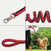 17 couleurs Splice produits de chien en plein air P chaîne collier laisses pour animaux de compagnie moyen et grand collier de formation LJ201109