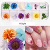 Na054 12 färger torkade blommor nagel konst dekorationer 3d naturlig daisy gypsophila konserverad torr blommig diy klistermärken manicure dekor dekal