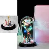 2020 Ny Wishing Girl Galaxy Rose i kolv LED -blinkande blommor i glasskupol för bröllopsdekoration Valentins dag Gift210b