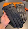 Winter echtes Leder Männer Designer-Handschuhe Mode schwarz dicke warme Handschuhe für Männer hochwertige Vintage männliche Handschuhe mit Designer-Box