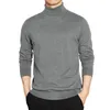 Men's Sweaters High Quality Turtleneck Sweater Men Pullover Basic Solid Turtle-Neck Male Black Wine Red Green Grey Purple Knitwear Man