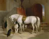 「アートアンティーク動物馬犬」額入りフレームの家の装飾手作り/ HDプリント油絵のキャンバスの壁アートキャンバス写真ER123