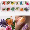 Nail Torkad Blommor 3D Nail Art Sticker för Tips Manikyr Inredning Blandade Tillbehör Nail Flower Decorators for Salon