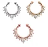 Europese en Amerikaanse piercings sieraden C-staaf valse neus ring anti-allergische set imitatie diamant nieuw gereedneus neus ornament