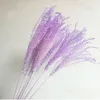 pink white color pampas grass decor dried natural flowers bouquets wedding flowers feather flowers tall 19-22 christmas decor 201127