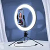 10 tum LED-bord Selfie Light Ringlight Cirkellampa med stativ Ställ telefonhållare för Zoom Tiktok Video Live Streaming Photo