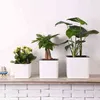 green planter pots