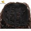 Dark Brown 2 Color Curly Hair Extensions Ponytail Remy Human Hair Drawstring Ponytail with Clips 1030inch Wavy Loose Curly Hair5209194