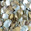 20pcs Lot Flower Shape Seashells Nautical Home Decor Natural Shell Pendants Necklace Diy Shells For Jewelry Making Accessories H jlliIT