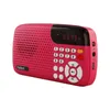 Radio Rolton Portable Global FM DAB Radios Portatil Am Music Player Talare TF Card USB för telefon med LED -display1