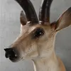 MGT Americano realistico testa di cervo appeso a parete testa di animale ciondolo in resina negozio di decorazioni per la casa appeso a parete regalo T200703251M